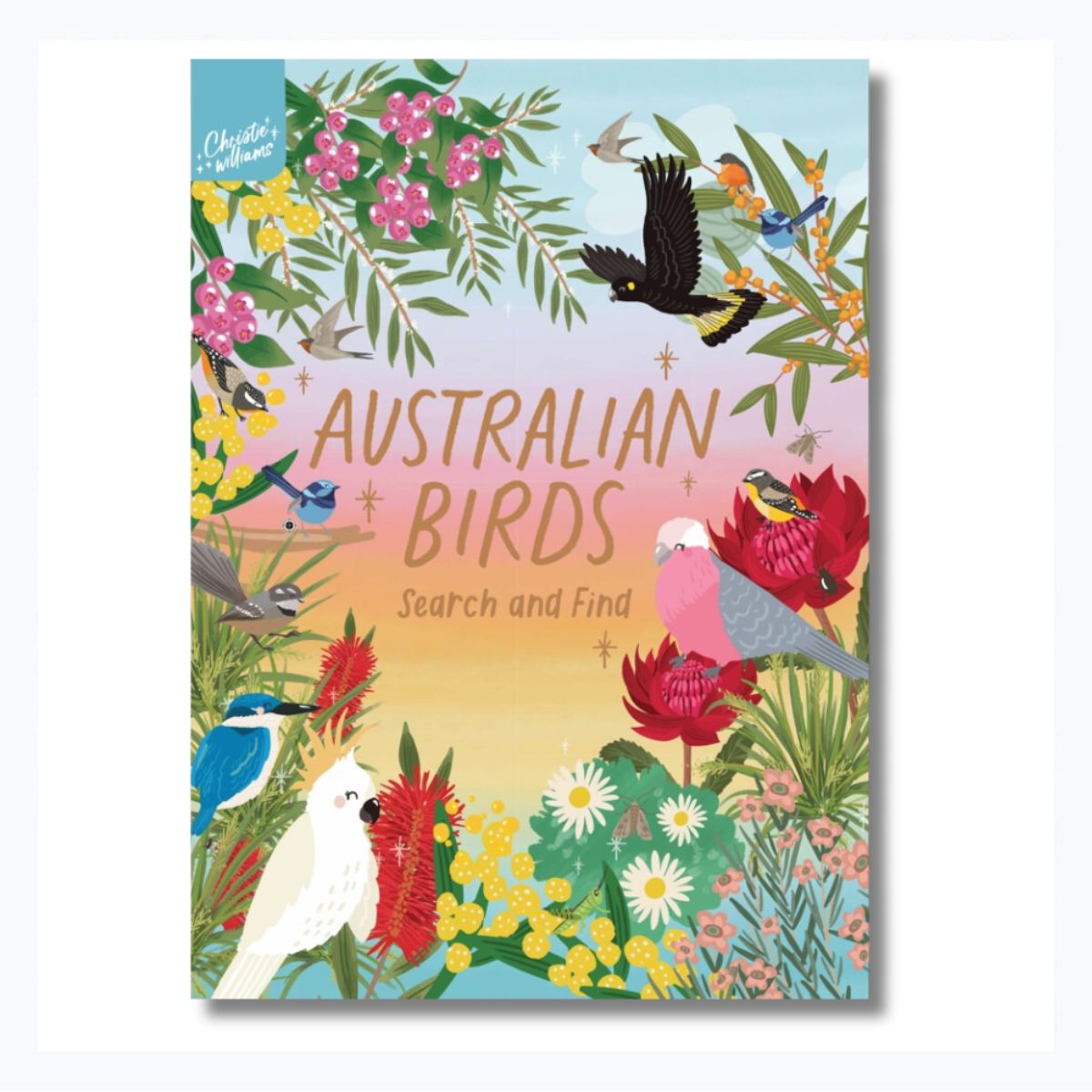 Australian Birds Search and Find (Hardback)