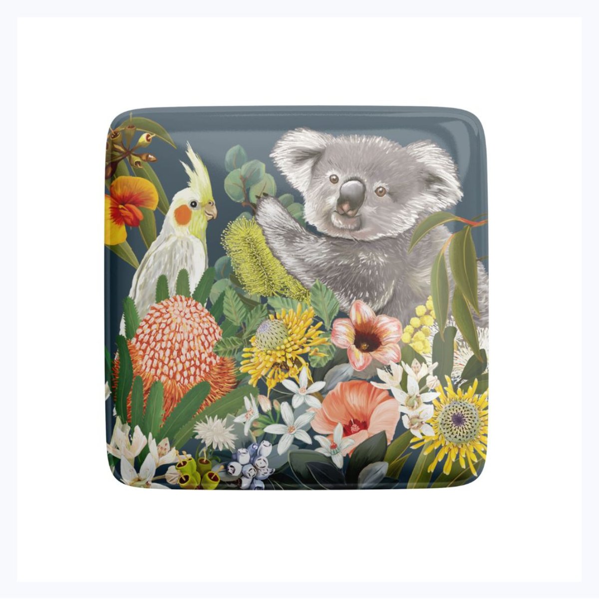 la la land fridge magnet koala and cockatiel