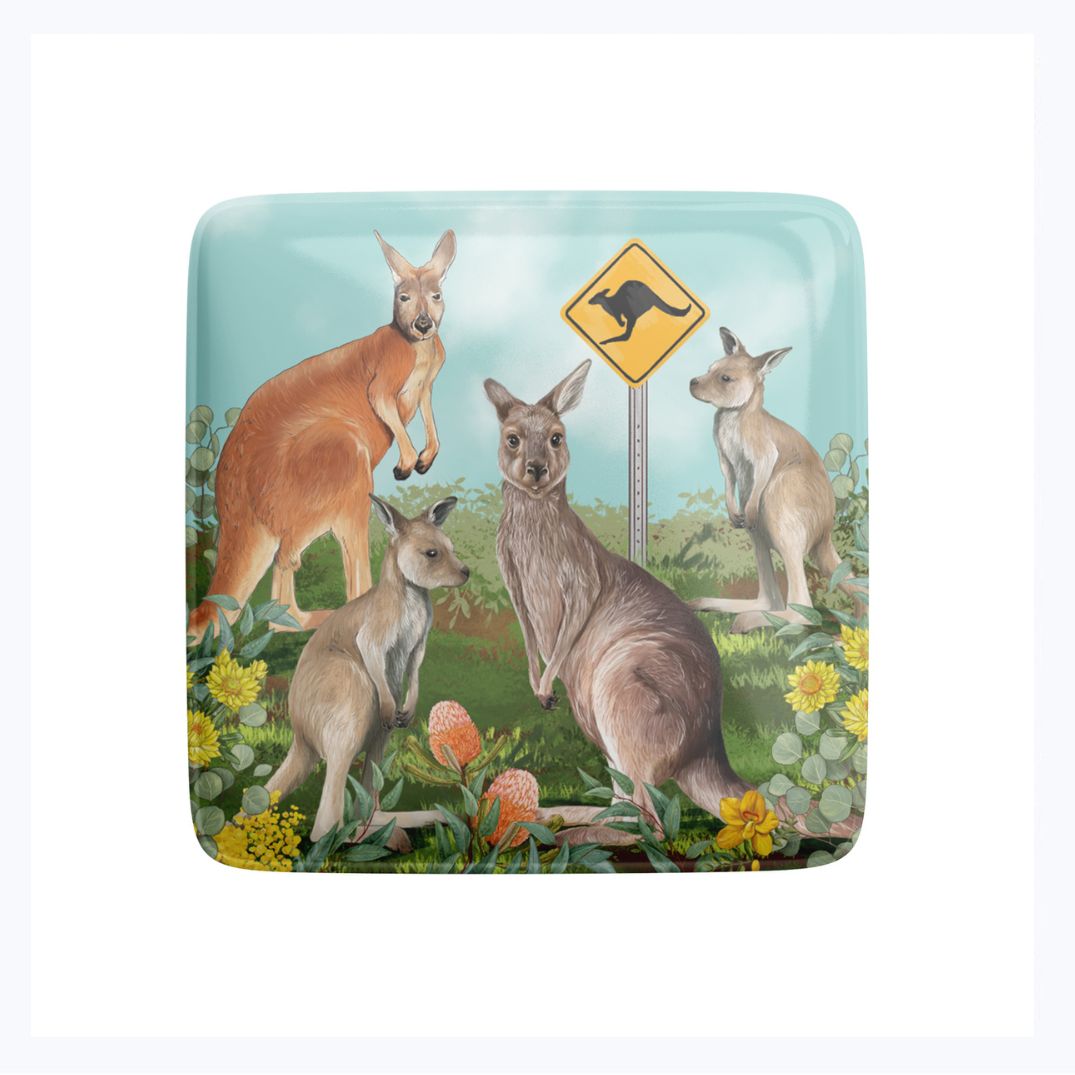 la la land magnet kangaroos