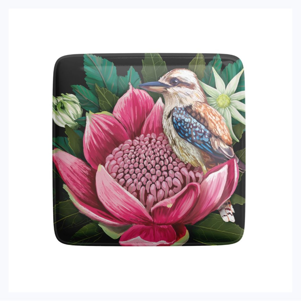 la la land fridge magnet kookaburra waratah