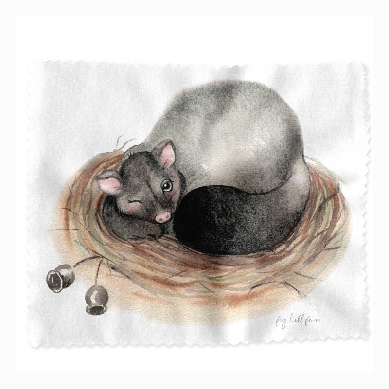 glass-lens-cleaner-peggy-possum-fig-hill-farm