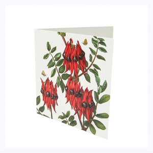 greeting card sturt desert pea