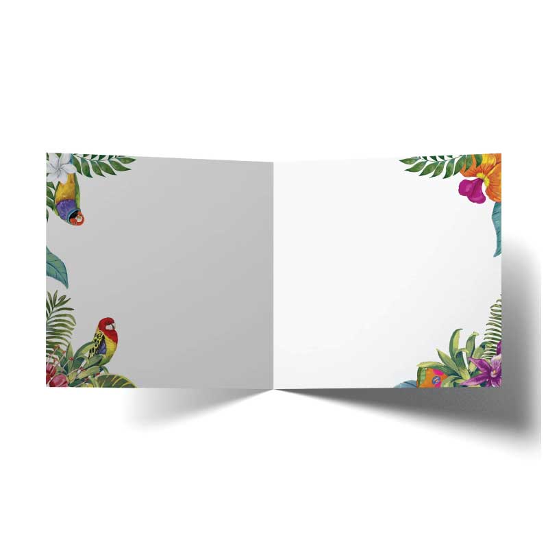 la-la-land-Card-Tropicana-Happy-Birthday-Fruits