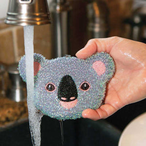 koala-cleaning-sponge-use-australia
