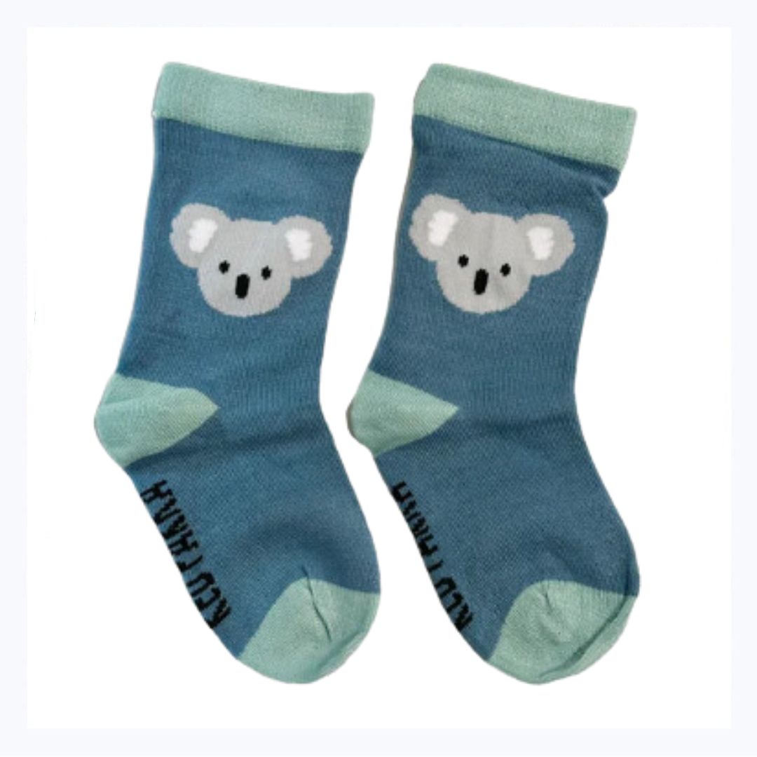 koala socks baby