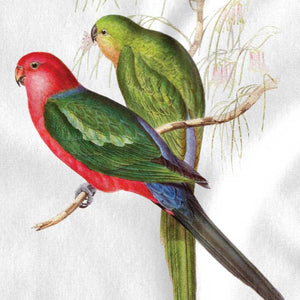lens-cloth-king-parrot-john-gould-australia