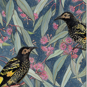 australian-magnet-ingrid-bartkowiak-regent-honeyeaters