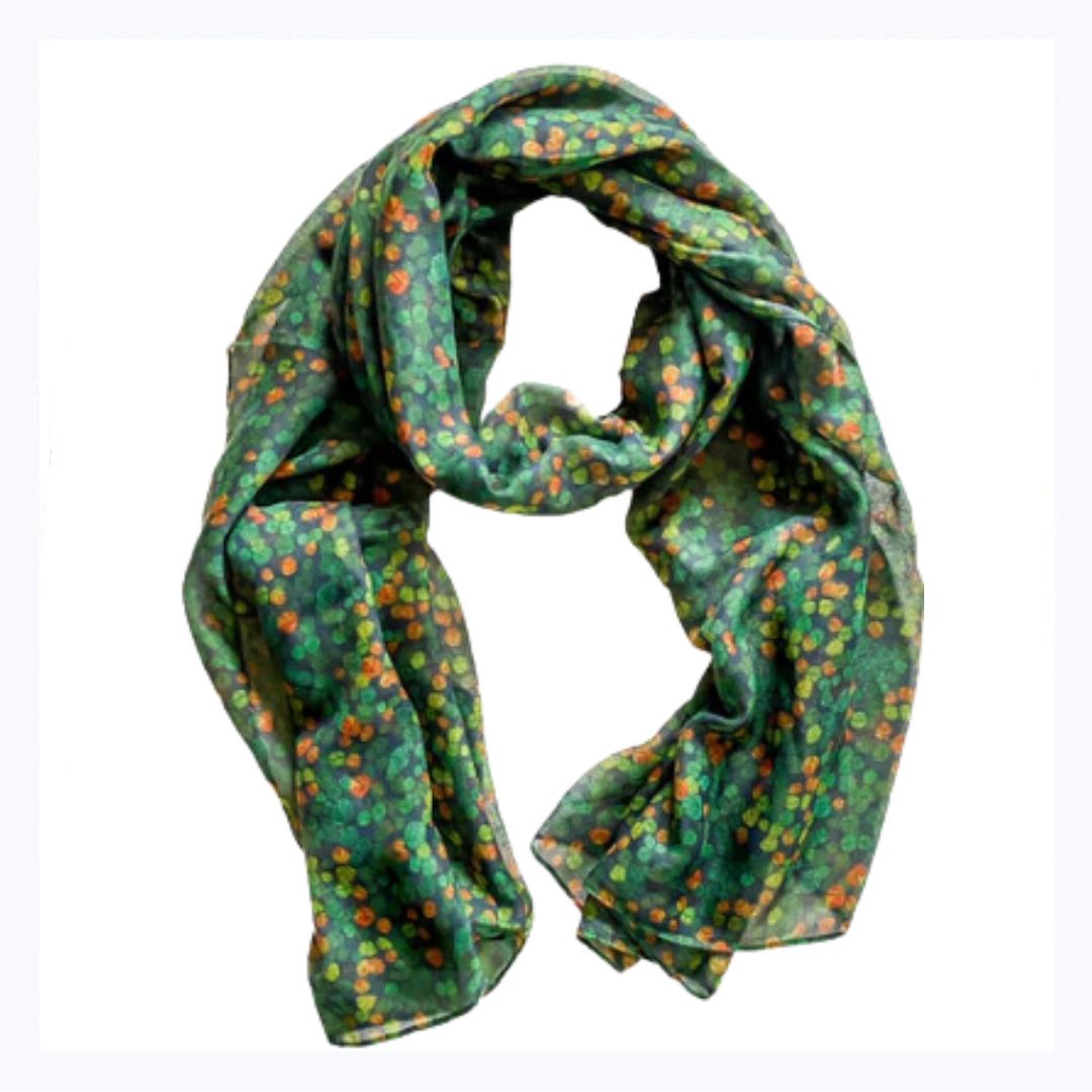 scarf fagus tasmania