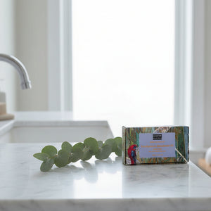 soap-eucalyptus-macadamia-oil