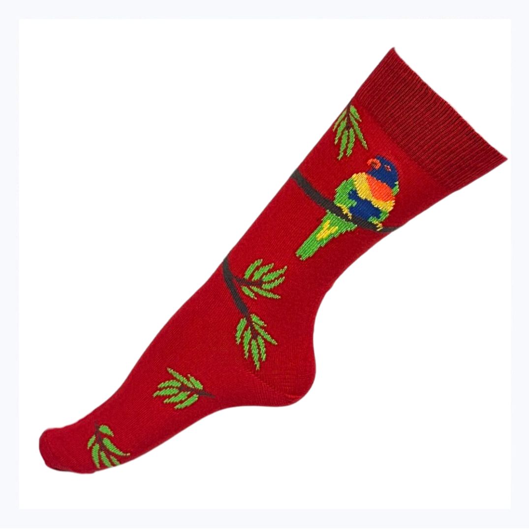 socks lorikeet red australian made souvenir