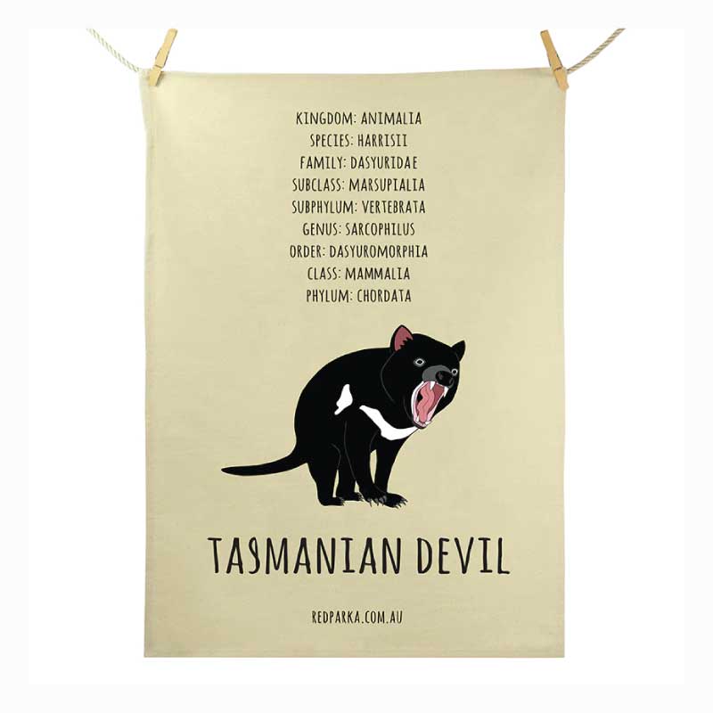 tea towel - tasmanian devil