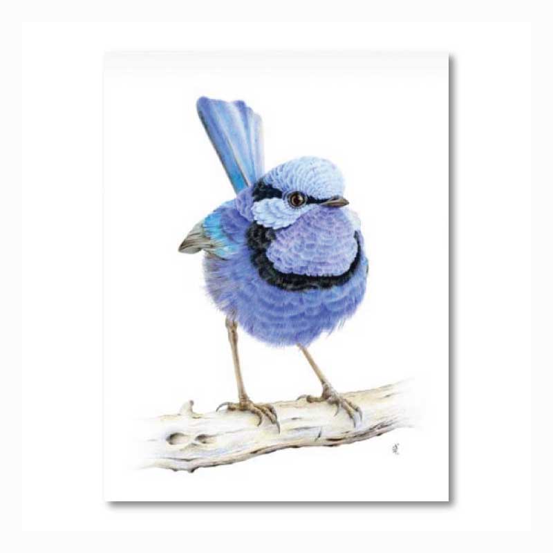 tea towel fairy wren souvenir australia