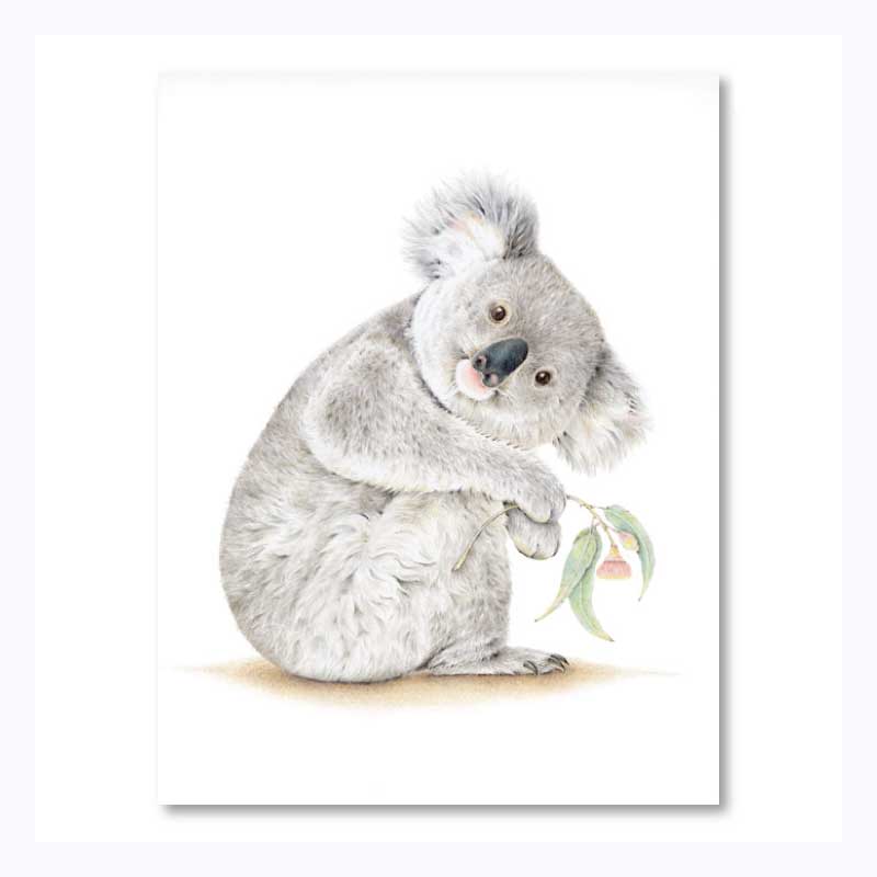 tea-towel-koala-barangaroo