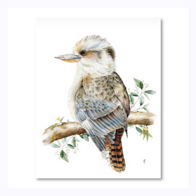 Tea Towel - Kookaburra Kyah