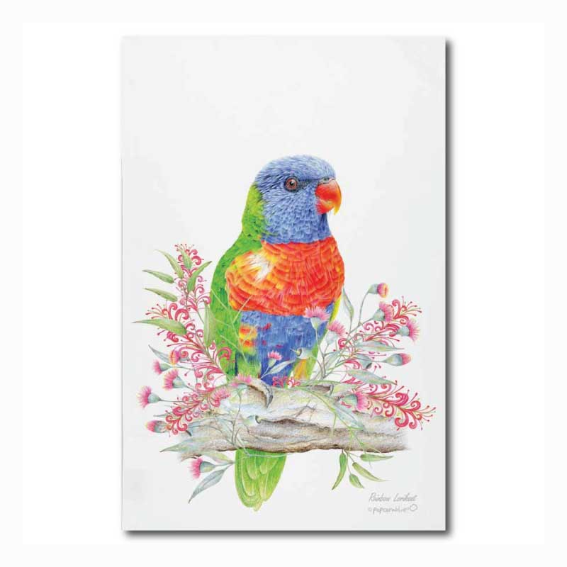 tea towel rainbow lorikeet