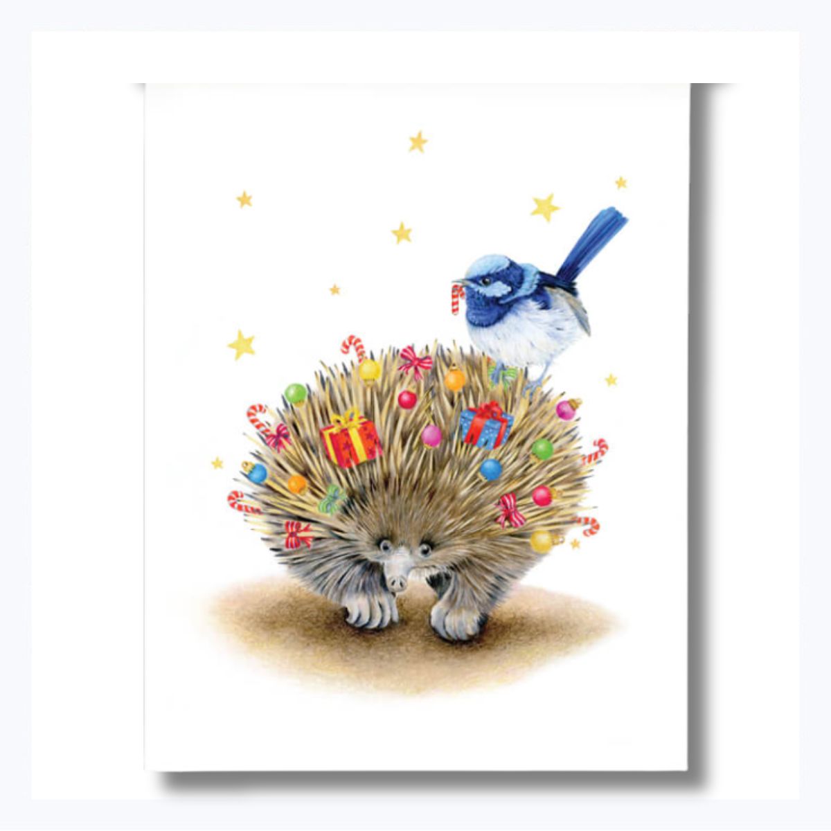 tea towel christmas australia echidna blue wren