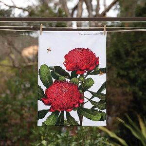 australian-art-tea-towel-waratah