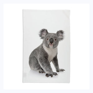 Koala-Tea-Towel-Souvenir-White