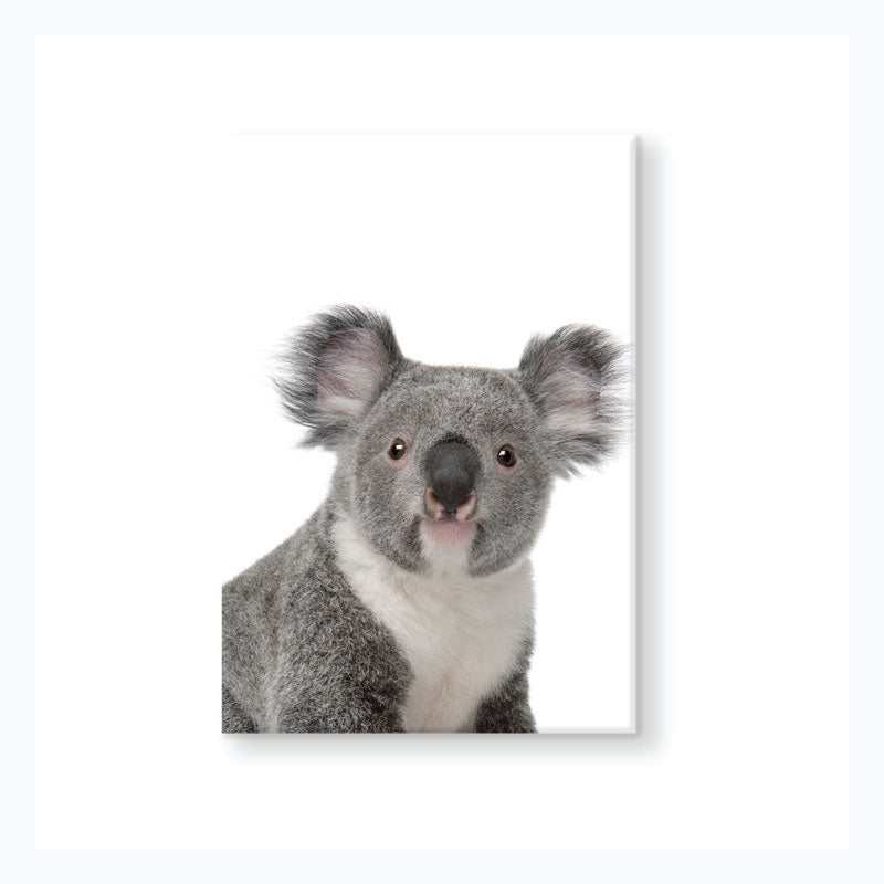 Souvenir Magnet - Koala Head