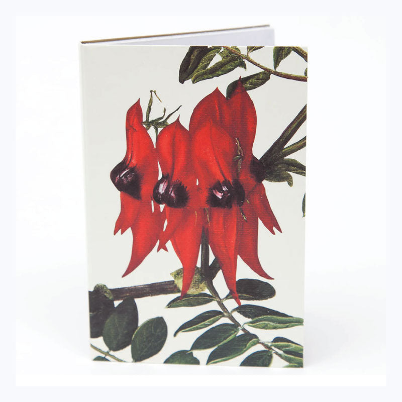 Sturt Pea Notepad