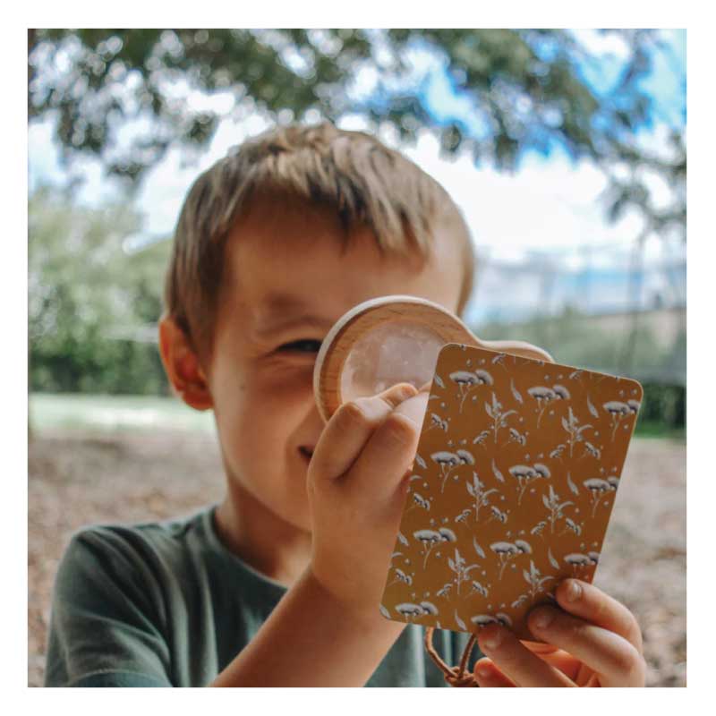 australian animals snap game go fish