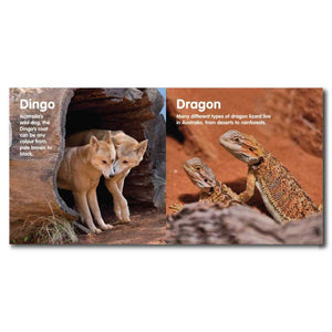 bush-friends-board-book-australian-animals