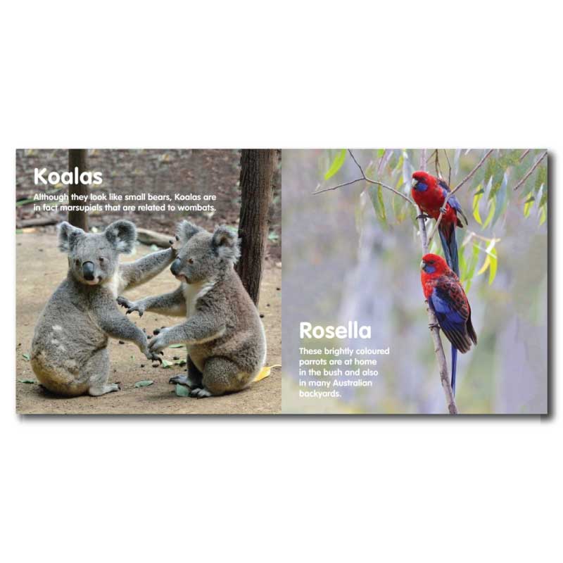 bush-friends-board-book-australian-gifts-for-kids