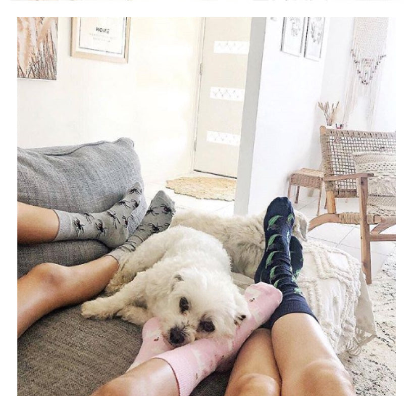 Gumnut Socks Navy  (Womens)