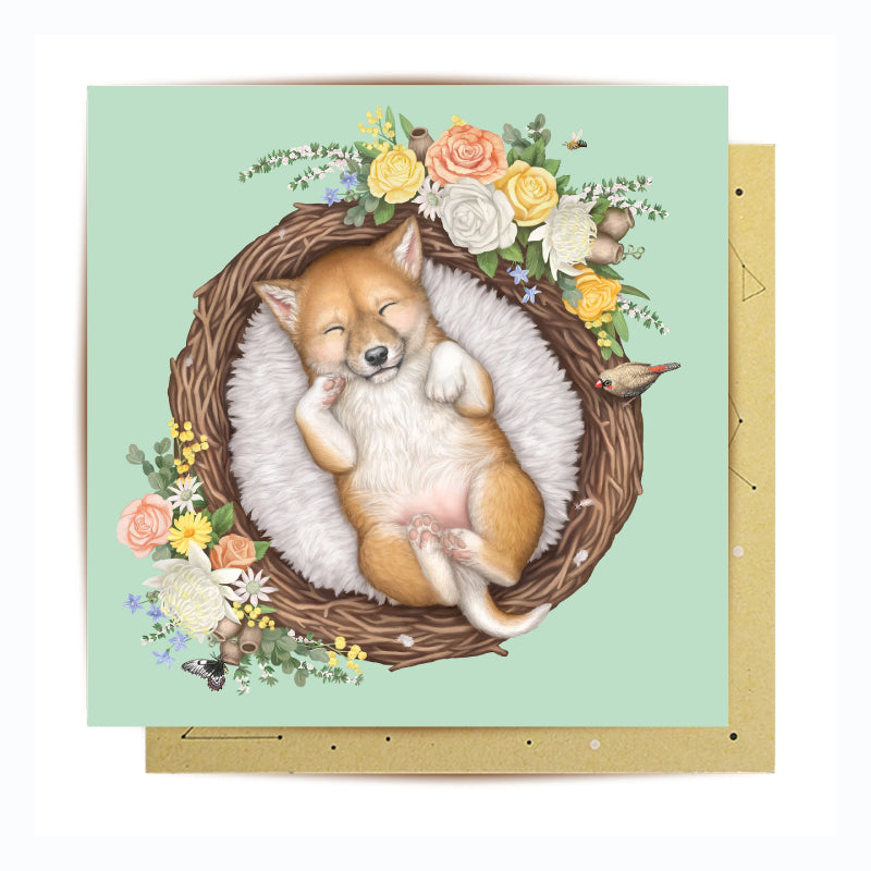 greeting card for baby dingo