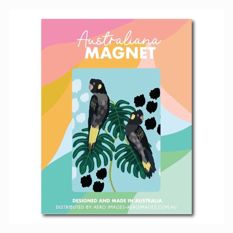 magnet australiana black cockatoo
