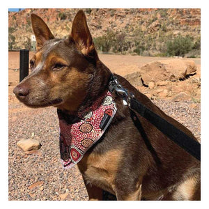 pet bandana aboriginal design cattle dog teddy gibson