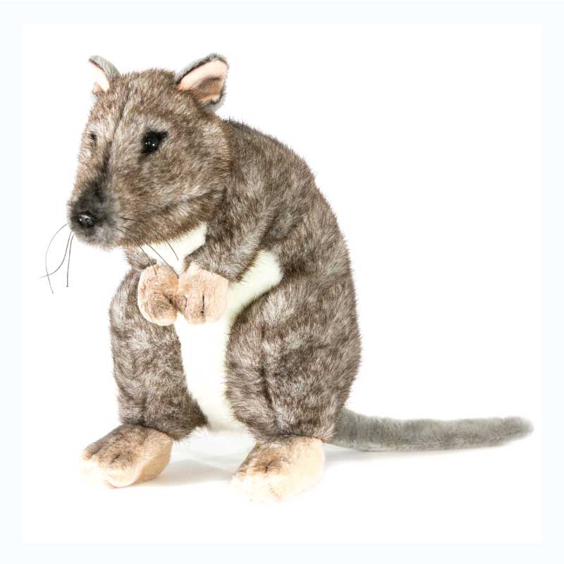 plush toy potoroo australian unusual animal