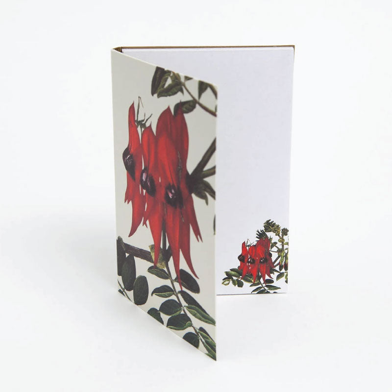 Sturt Pea Notepad
